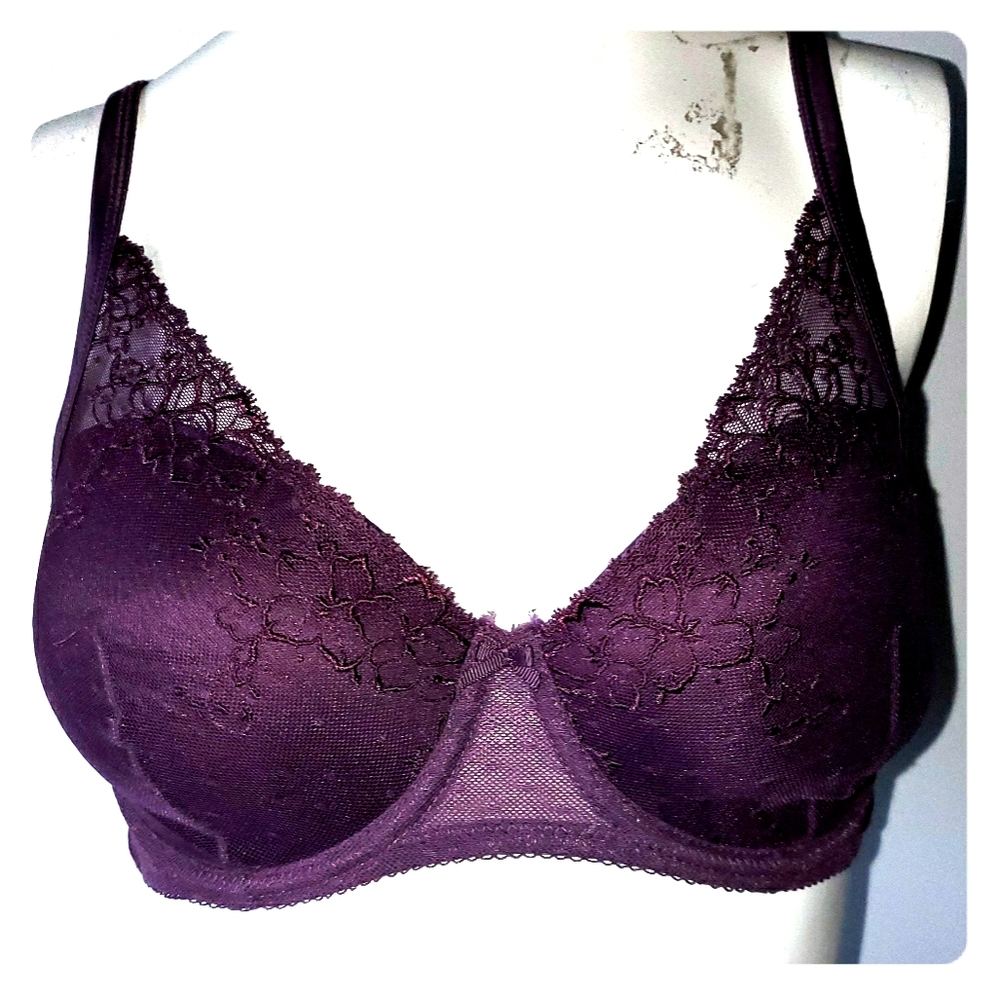 ʕ·ᴥ·ʔNWOT Affinitias Intimates Plum Bra Size 32DD